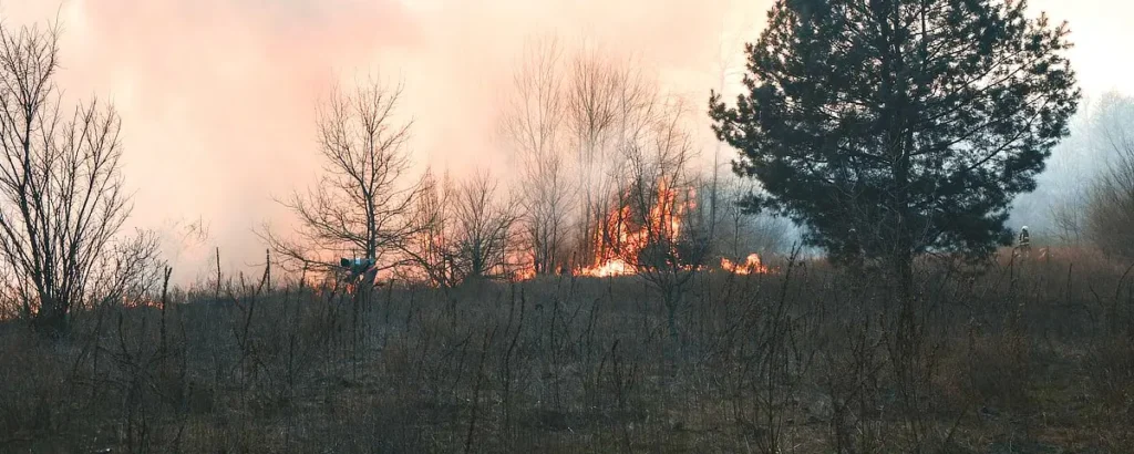 Fire in the bush using an ultra-early bushfire detection